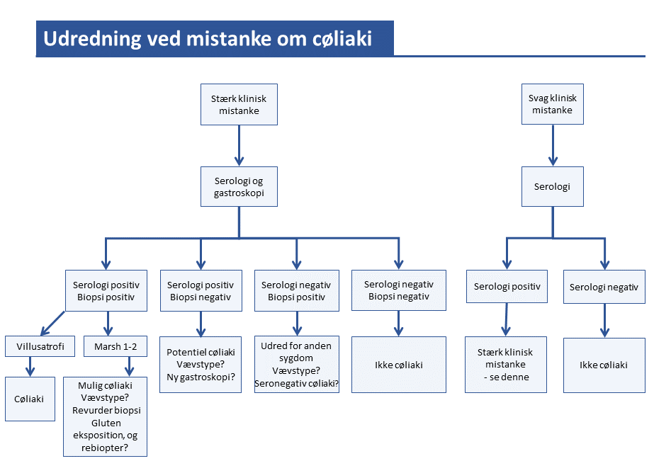 h pylori flow chart